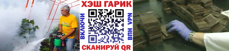 ГАШ гарик  Ветлуга 