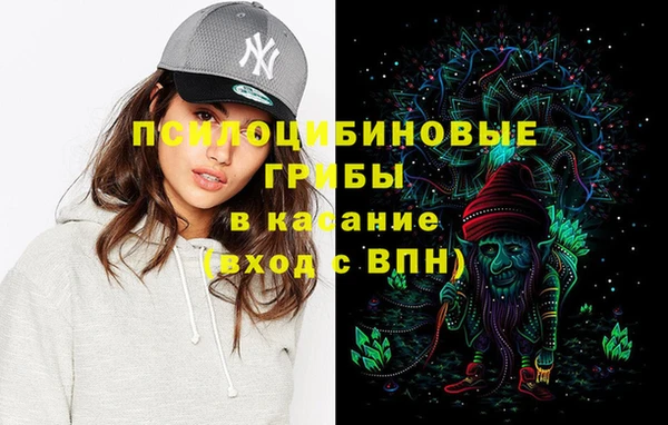 не бодяженный Пересвет
