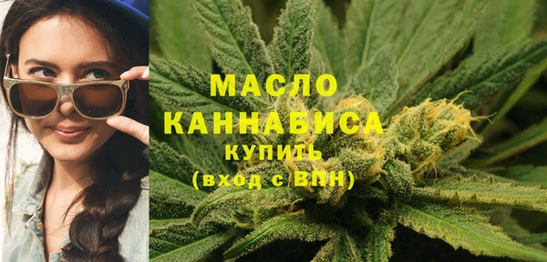 сатива Вязьма