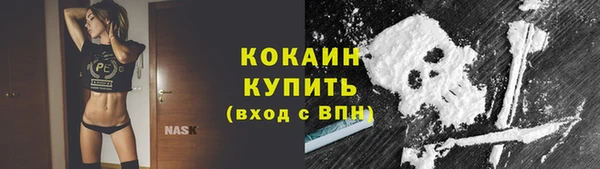 сатива Вязьма