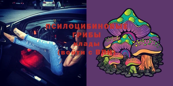 стафф Волоколамск