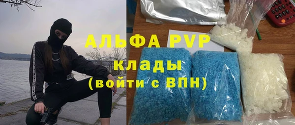 стафф Волоколамск