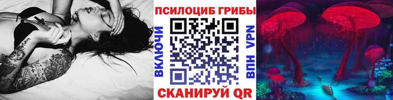 Псилоцибиновые грибы MAGIC MUSHROOMS купить наркоту Ветлуга