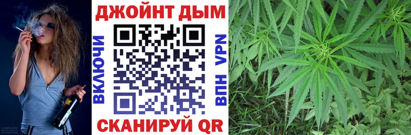 хочу наркоту  Ветлуга  Канабис индика 